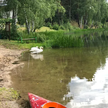 キャンプ場 Stacja *