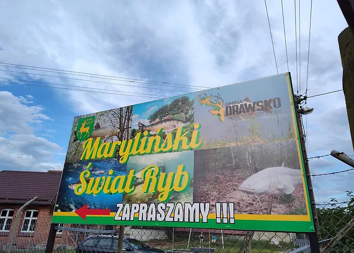 Stacja Kamp alanı *