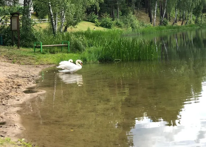 Kamp alanı Stacja *