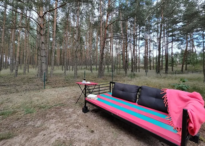 Kamp alanı Stacja MaryLin